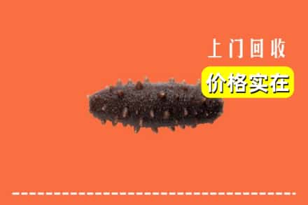 收购资讯:张家界永定区回收海参