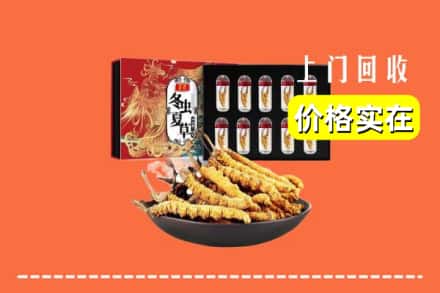 张家界永定区回收虫草